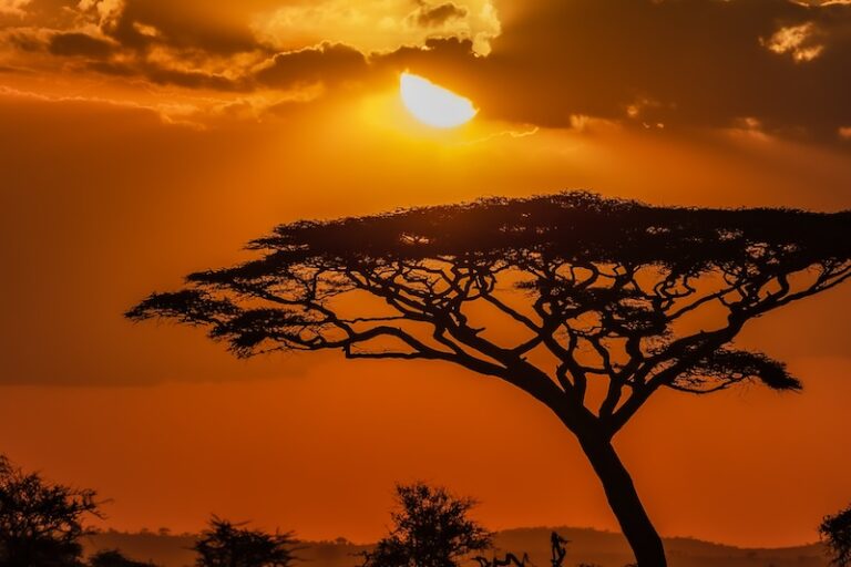 Safari Tour hotel and Tour arrangement from Singapore